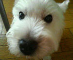 200710261606000.jpg
