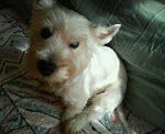 200710291704000.jpg