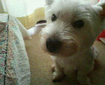 200710291701000.jpg