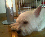 200710311641000.jpg