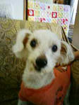 200711031139.jpg