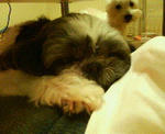 200711091923000.jpg