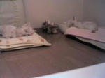 2007_11_12_18_00_00.jpg