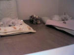 2007_11_12_20_00_00.jpg