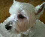 200711131837000.jpg