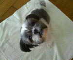 200711131832000.jpg