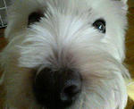 200711151326000.jpg