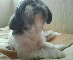 200711151322000.jpg