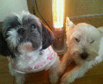 200711262022000.jpg