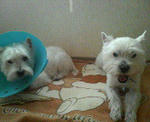 200712011401000.jpg