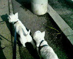 200712041732000.jpg