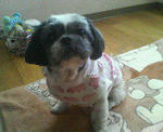 200712081239000.jpg