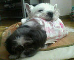 200712102026000.jpg