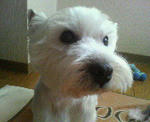200712111837000.jpg