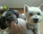 200712111823000.jpg