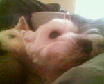 200712121505000.jpg