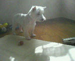 200712141332000.jpg