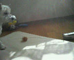 200712141331000.jpg