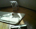 200712141330000.jpg