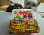 200712151337000.jpg