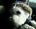 200712161428000.jpg