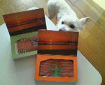 200712211318000.jpg