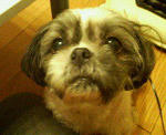 200712242223000.jpg