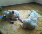 200712291242000.jpg