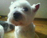200801151614000.jpg