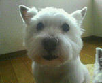 200801151611000.jpg