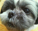 200801161426000.jpg