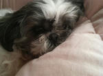 P1000001.jpg