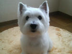 P1000002.jpg