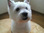P1000004.jpg