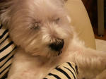 P1000012.jpg