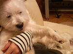P1000013.jpg