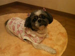 P1000057.jpg