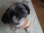P1000155.jpg