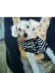 200803021448.jpg