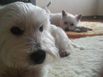 P1000210.jpg