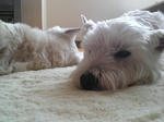 P1000241.jpg