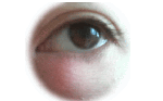 20080413.gif