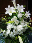 200805011734.jpg