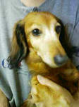 200805271718.jpg