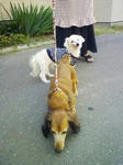 200807011619.jpg