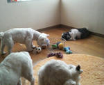P1000547.jpg