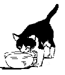 060821monimizu