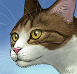 061207neko