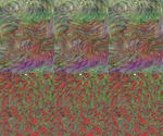 061218_3D(1)