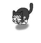 070124neko